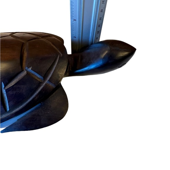 Ironwood Turtle. - Picture 6 of 10